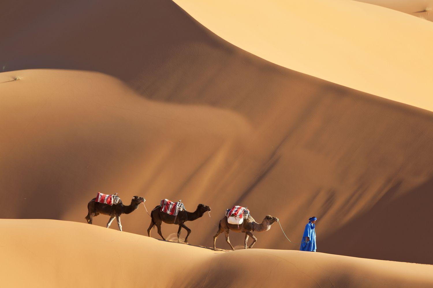Merzouga Luxury Traditional Camp Esterno foto